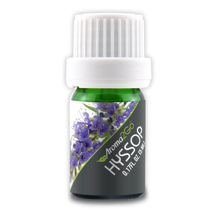Aroma2Go Hyssop Essential Oil Wayfair